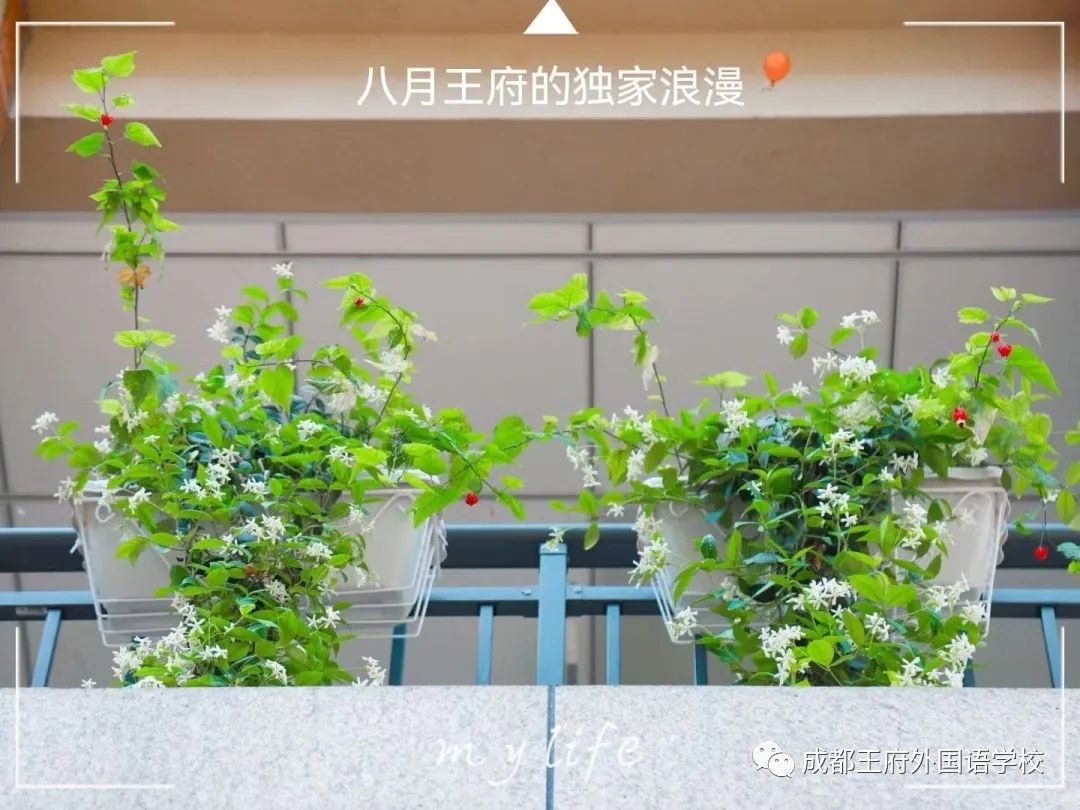 心怀梦想,携手同行| 亲爱的家长,请您查收八月校长来信 心怀梦想,携手同行| 亲爱的家长,请您查收八月校长来信
