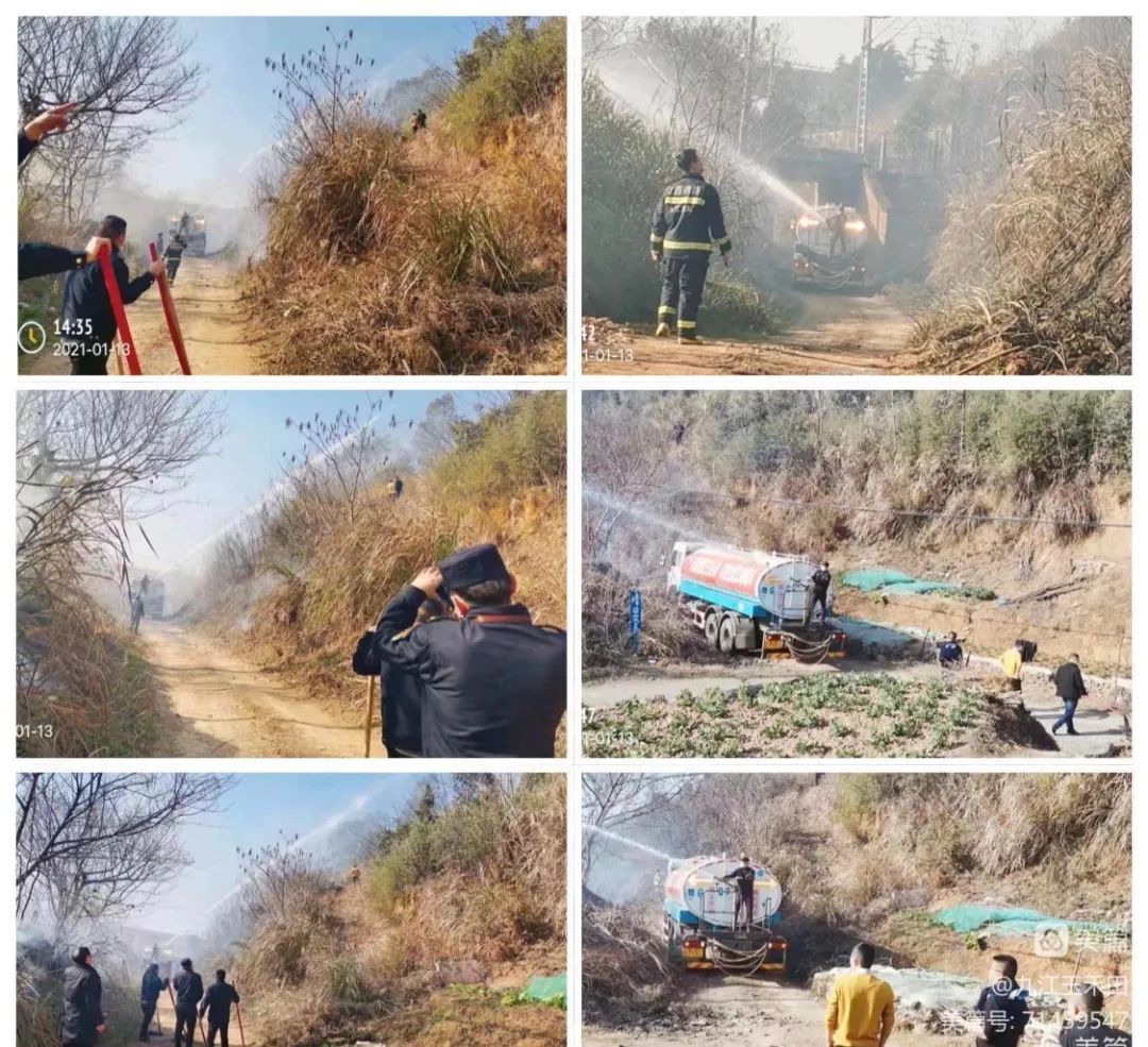重慶山火牽動人心,玉禾田員工參與山火撲救 重慶山火牽動人心,玉禾田員工參與山火撲救