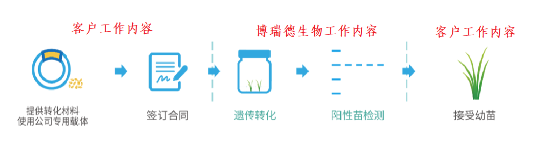 合作与研发