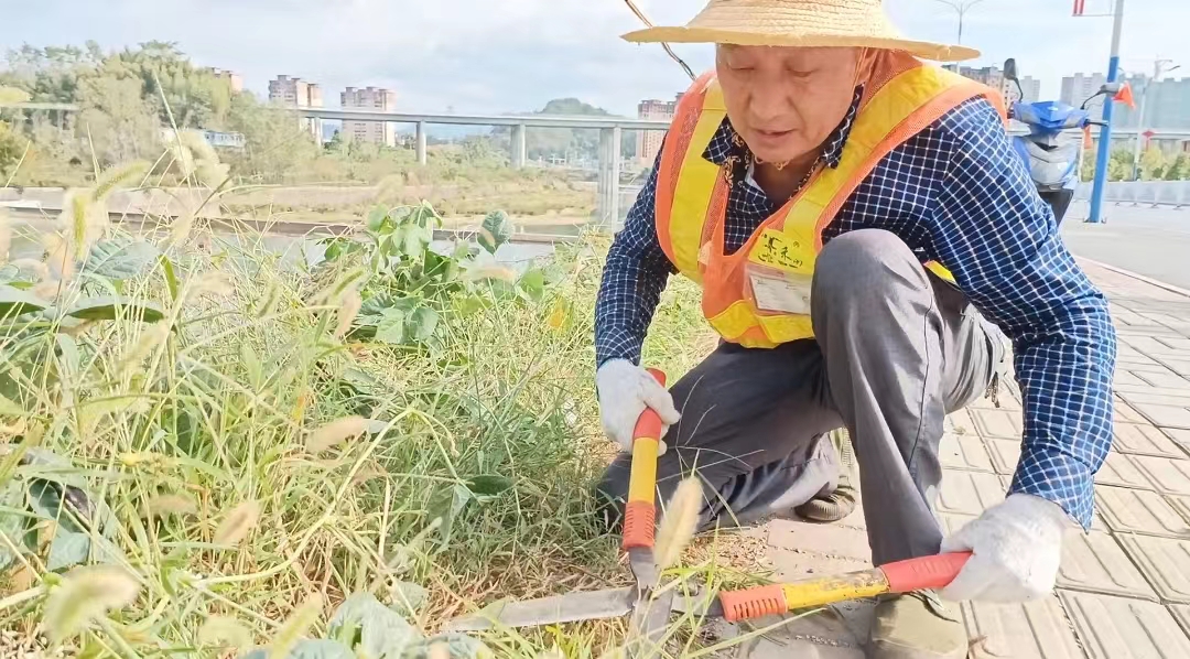 【岳西玉禾田】喜迎國慶,助力創城,環境整治在行動 【岳西玉禾田】喜迎國慶,助力創城,環境整治在行動