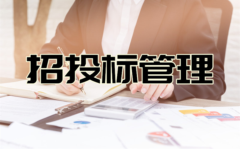 招投标辅导服务 招投标辅导服务