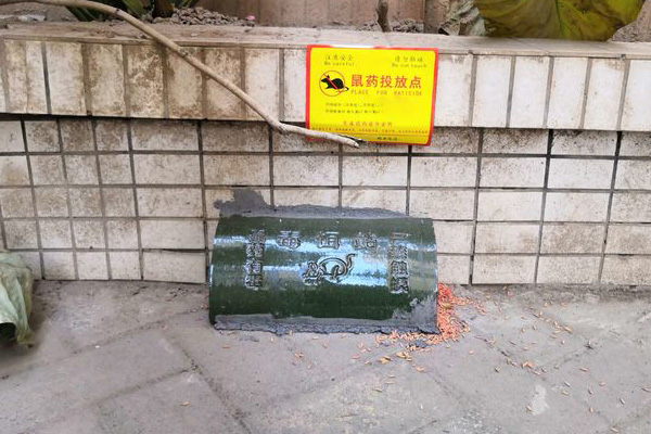 想要消灭家里的老鼠,你可以这样去做 想要消灭家里的老鼠,你可以这样去做