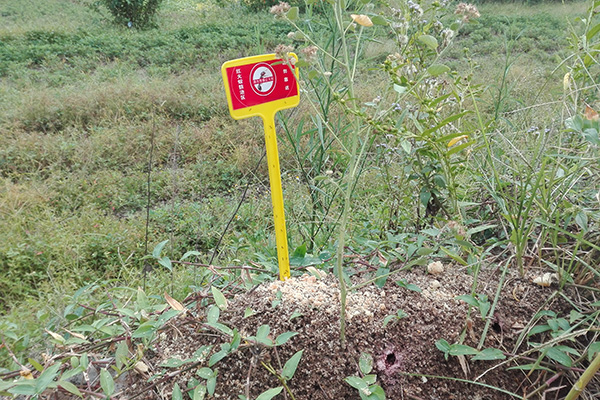 路边遇到这种小土堆,切记千万别碰,请马上离开 路边遇到这种小土堆,切记千万别碰,请马上离开