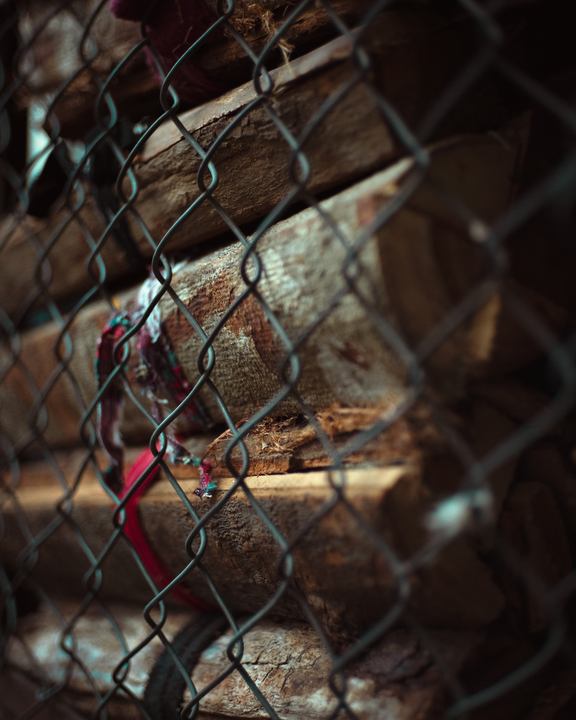 35mm F1.4  样片展示