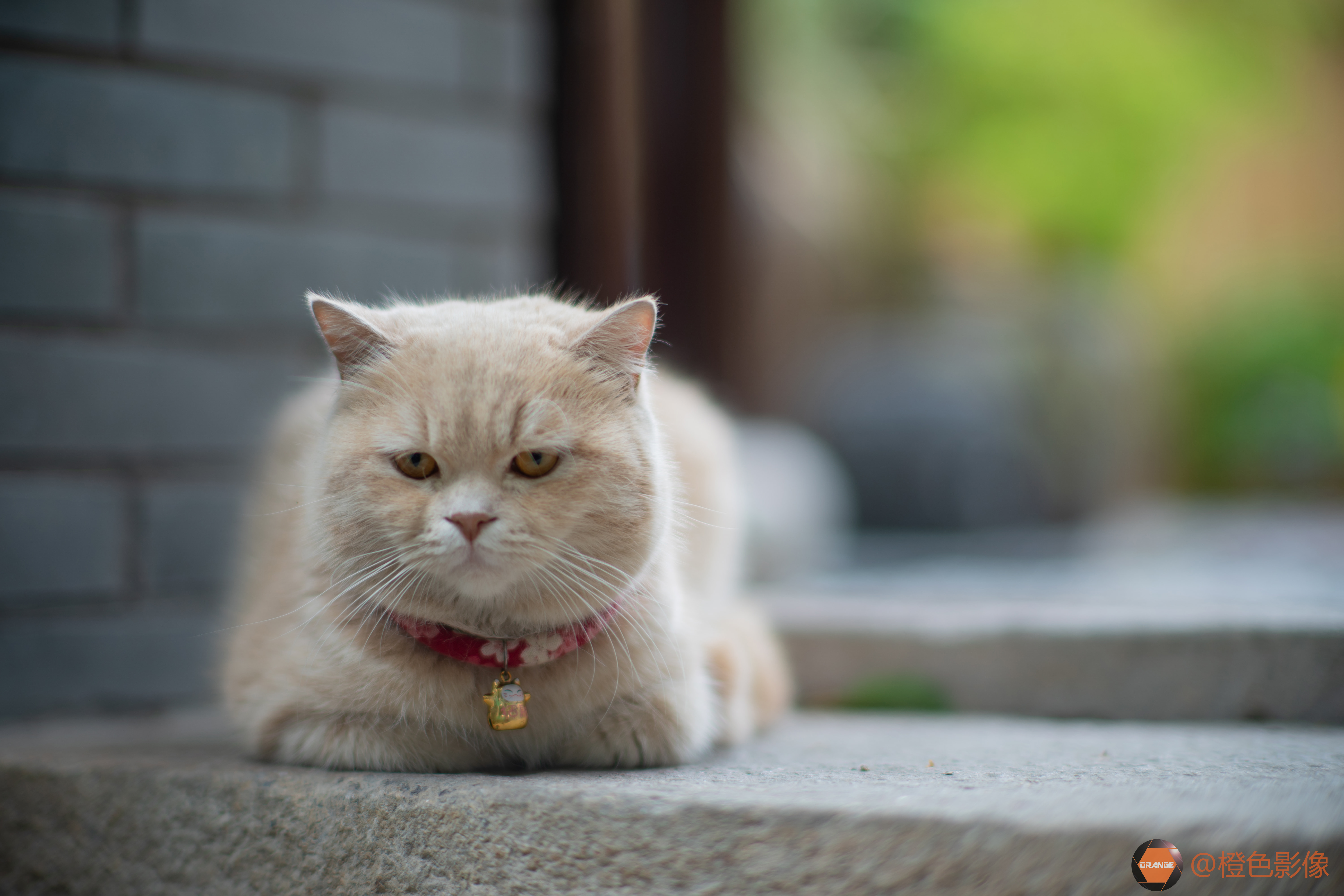 M75mm F1.25  样片展示