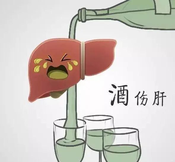 大众科普|一文了解脂肪肝 大众科普|一文了解脂肪肝