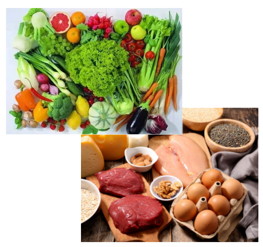 营养课堂|有超级防癌食物吗? 营养课堂|有超级防癌食物吗?