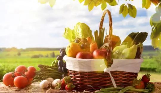 营养课堂|有机食物比普通食物更健康吗? 营养课堂|有机食物比普通食物更健康吗?
