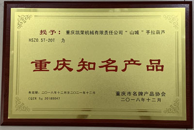 “山城”牌1吨手拉葫芦与某公司侵权我司的1吨手拉葫芦比较结果 “山城”牌1吨手拉葫芦与某公司侵权我司的1吨手拉葫芦比较结果