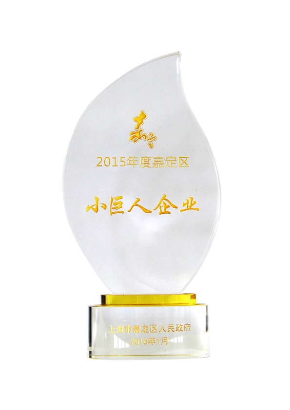 2015年度嘉定區小巨人企業