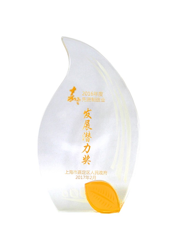 2016年度嘉定區發展潛力獎