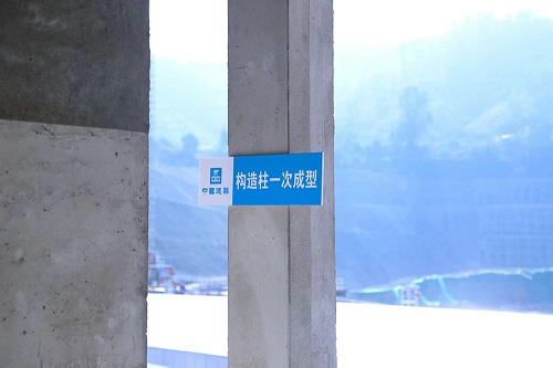攀枝花市召开2022年质量安全标准化工地现场观摩会 攀枝花市召开2022年质量安全标准化工地现场观摩会