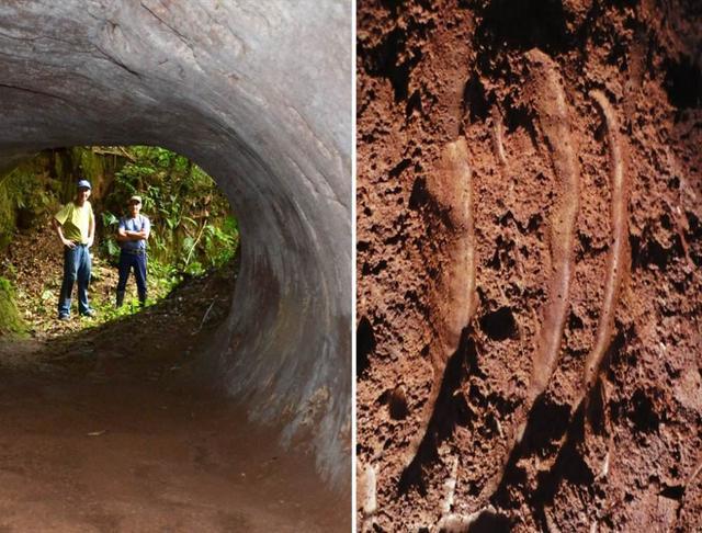 巴西13000年前的史前隧道,不是人类建造,那是谁? 巴西13000年前的史前隧道,不是人类建造,那是谁?