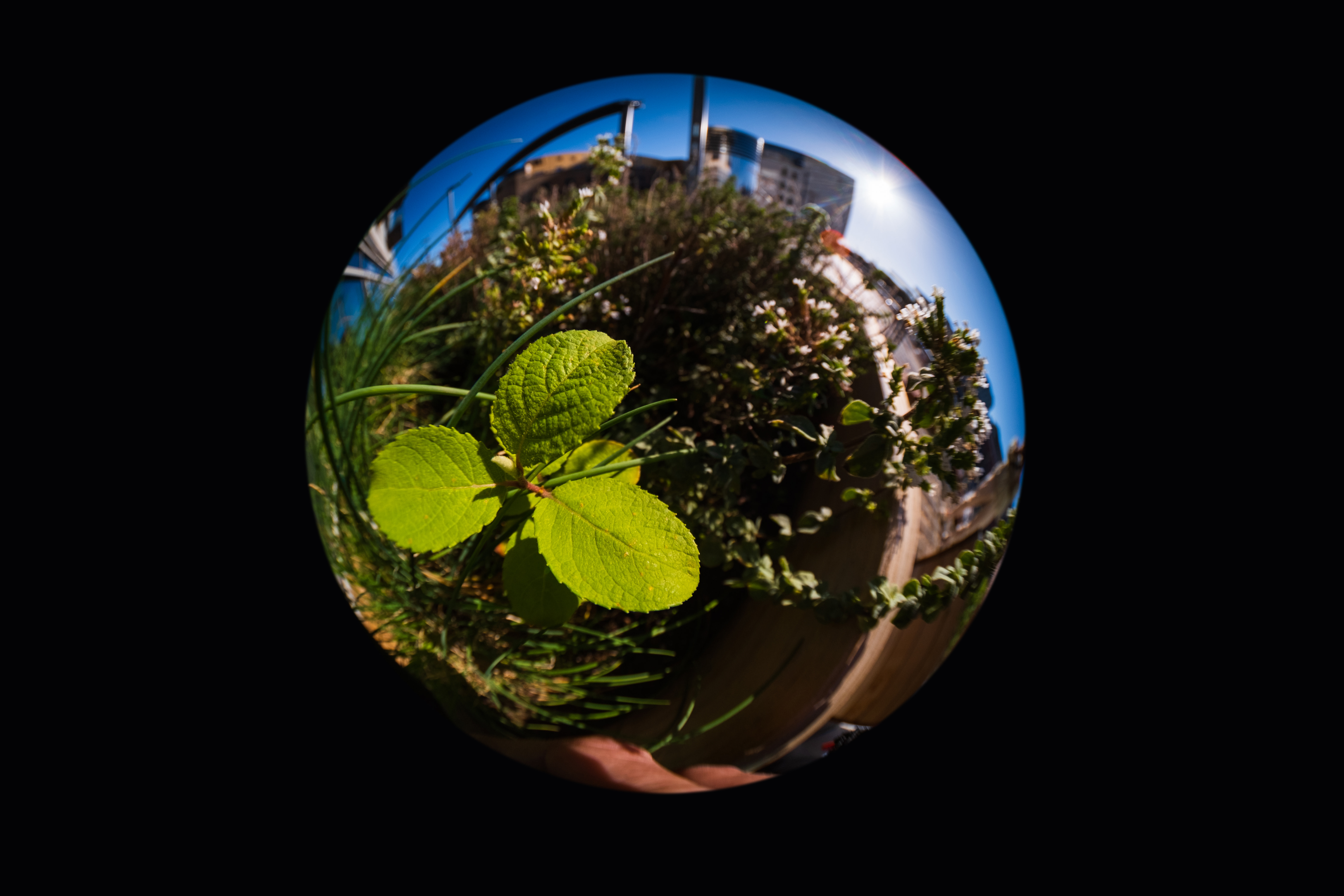 4mm F2.8  样片展示