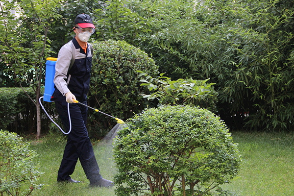办理有害生物防制员职业资格证书对企业有什么好处 办理有害生物防制员职业资格证书对企业有什么好处