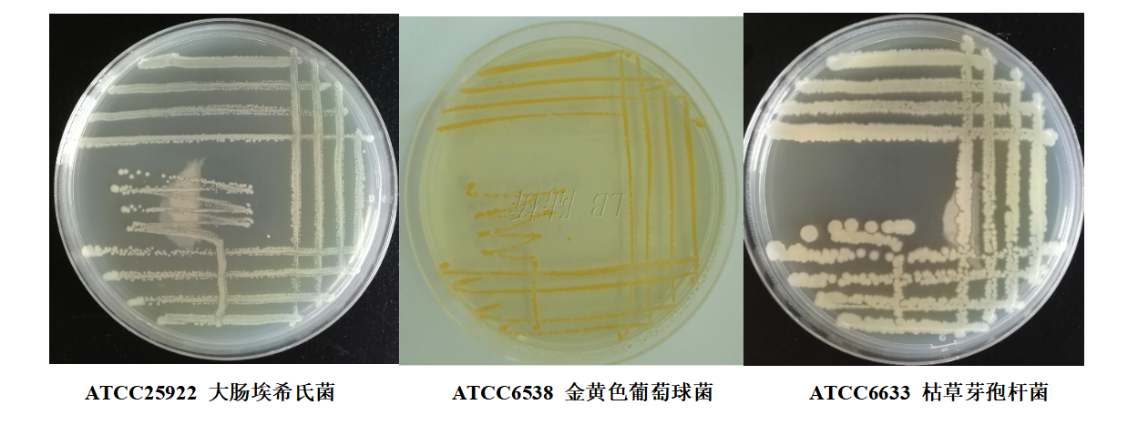 非選擇性固體培養(yǎng)基微生物性能測(cè)試方法
