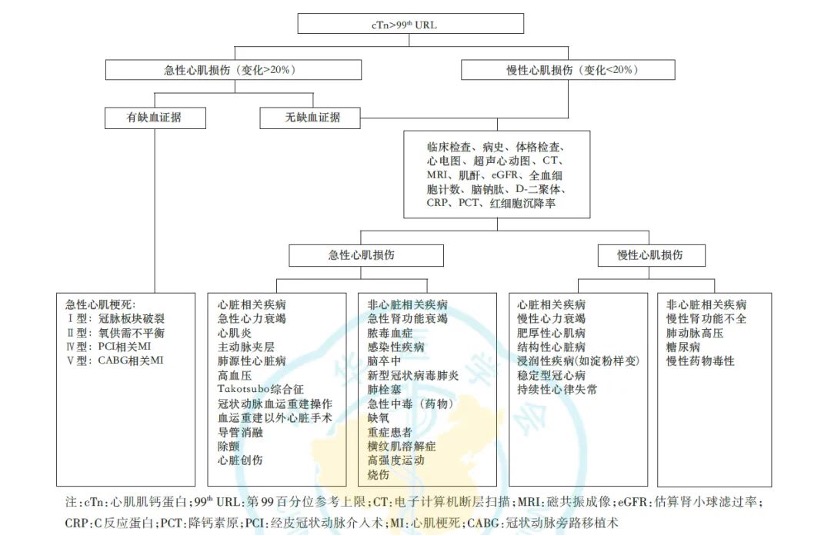速看
!心肌损伤和心机梗死更快更灵敏的标志物! 速看!心肌损伤和心机梗死更快更灵敏的标志物
!