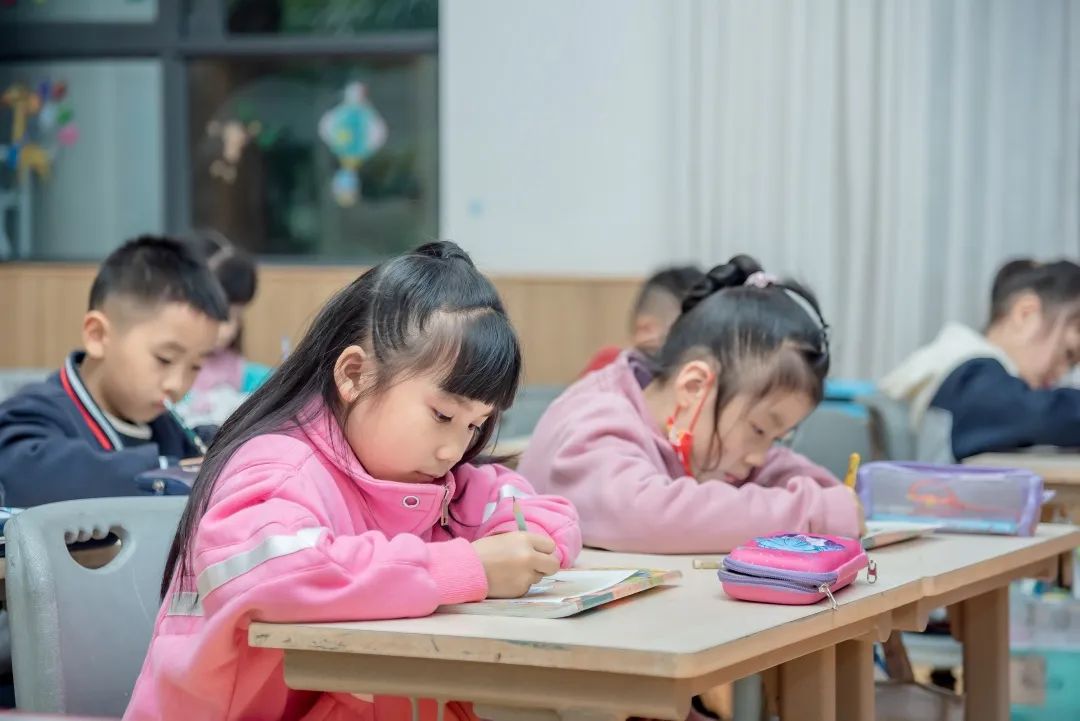 选我所爱,爱我所选|小学部选修课人文艺术篇 选我所爱,爱我所选|小学部选修课人文艺术篇
