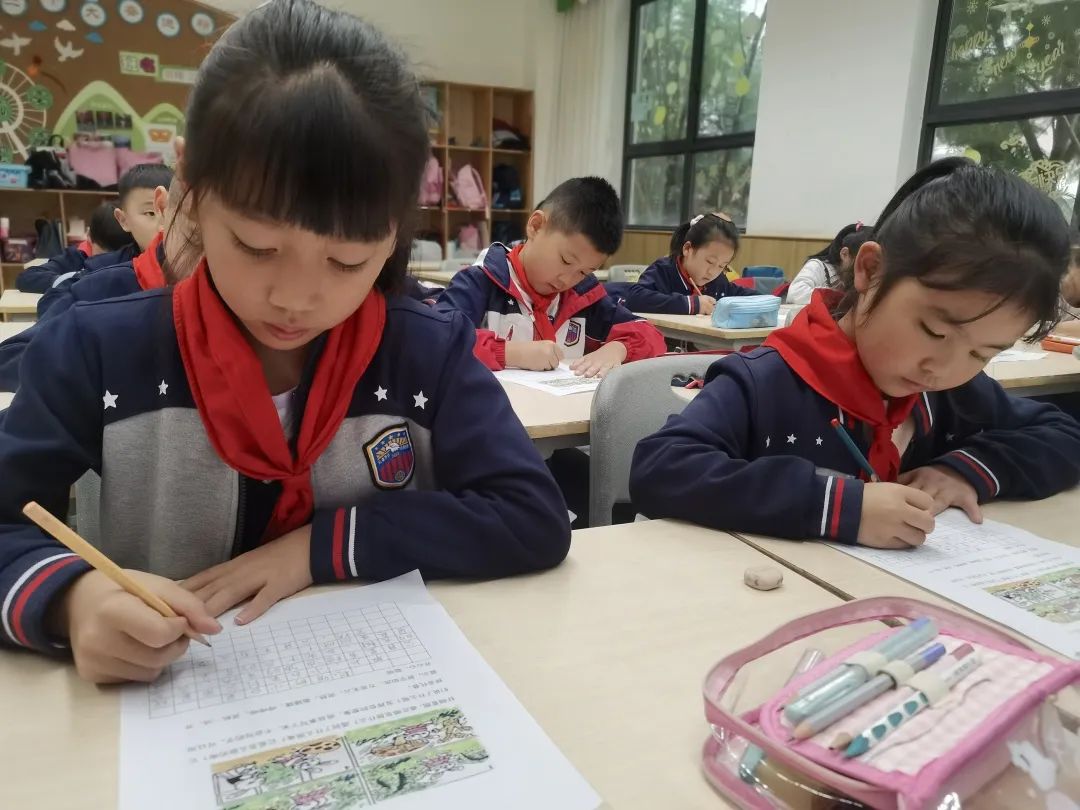 选我所爱,爱我所选|小学部选修课人文艺术篇 选我所爱,爱我所选|小学部选修课人文艺术篇