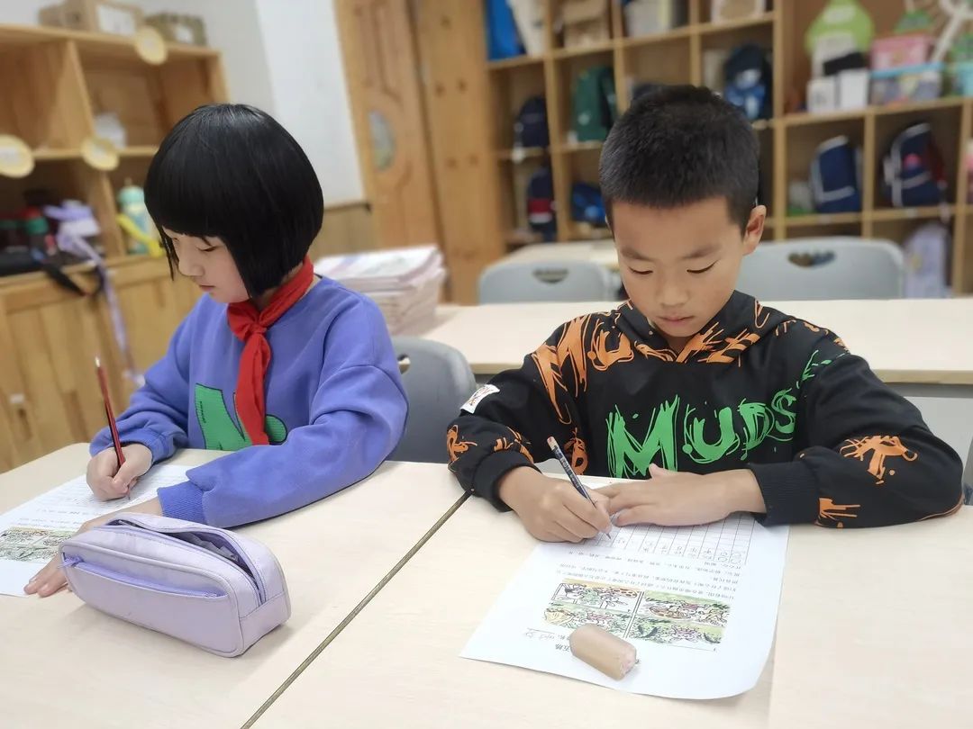 选我所爱,爱我所选|小学部选修课人文艺术篇 选我所爱,爱我所选|小学部选修课人文艺术篇