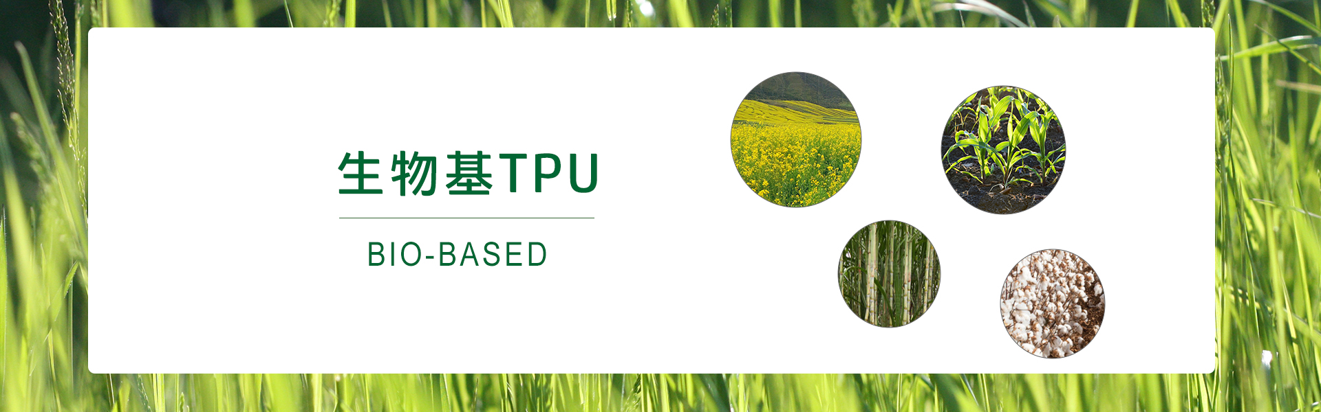科思创TPU