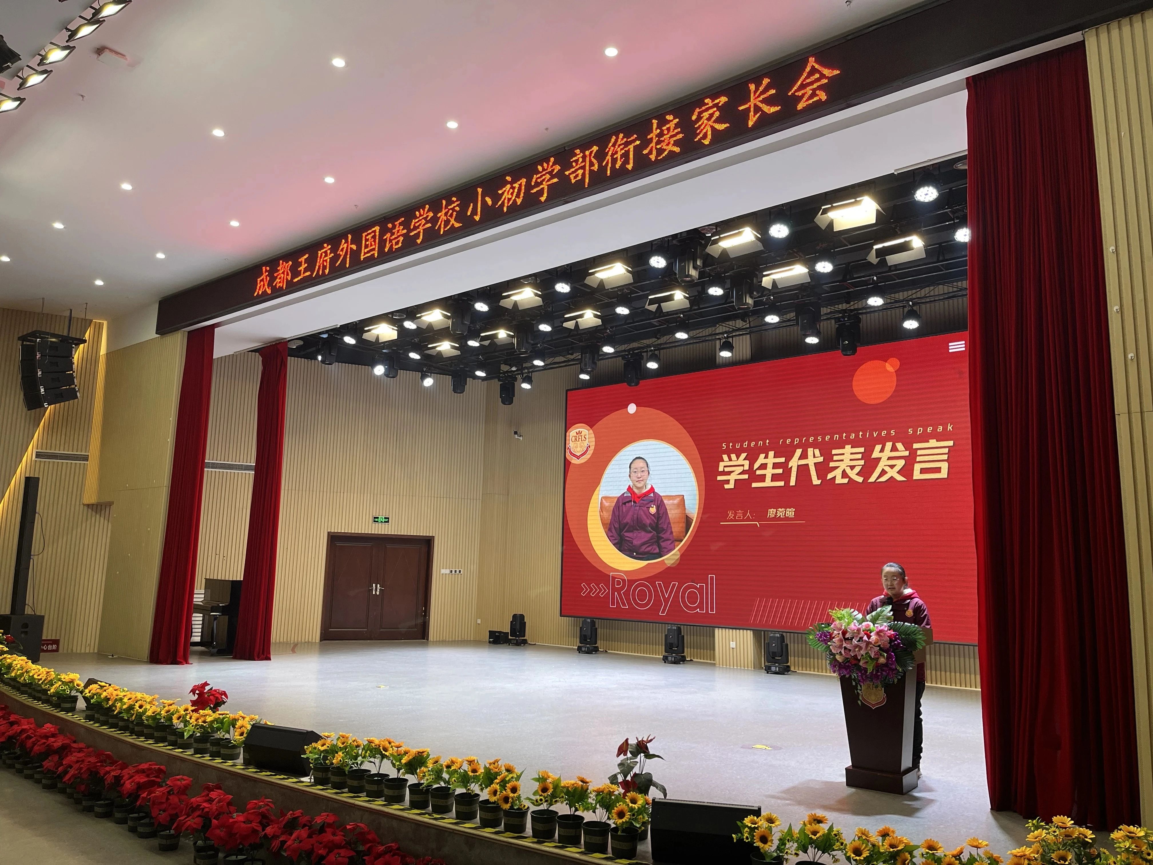 王府周周都精彩！一周简讯速览