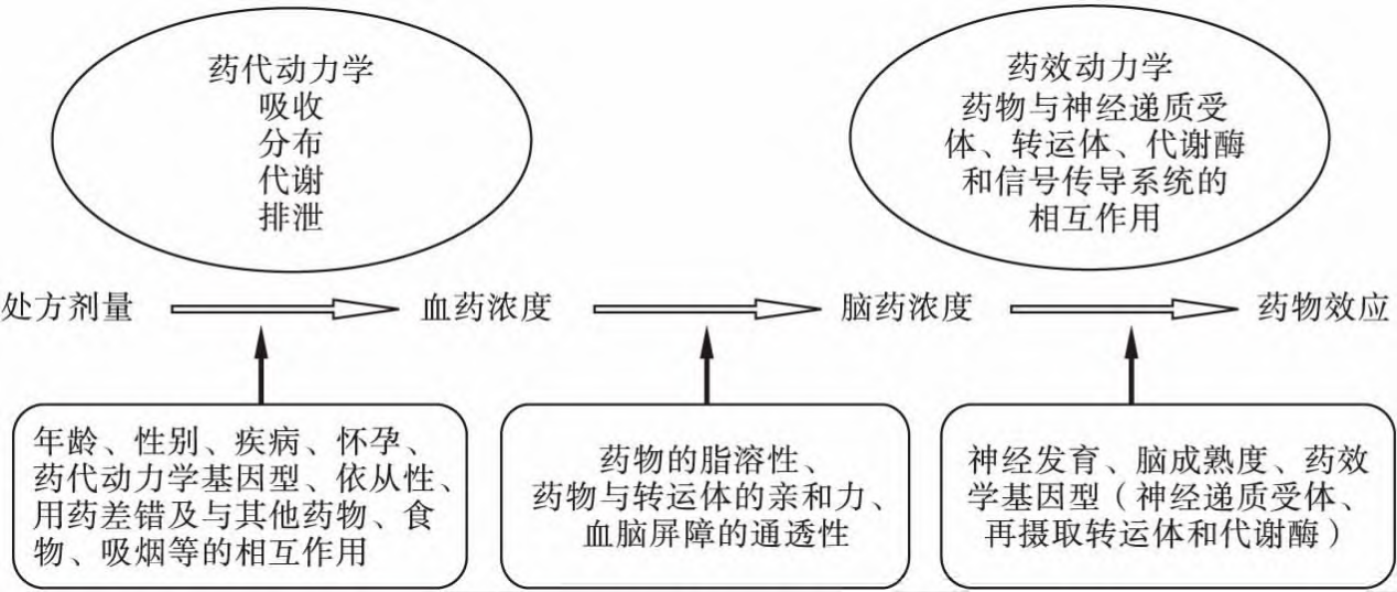 抗癫痫药物—丙戊酸药物浓度监测（TDM）的意义和方法综述