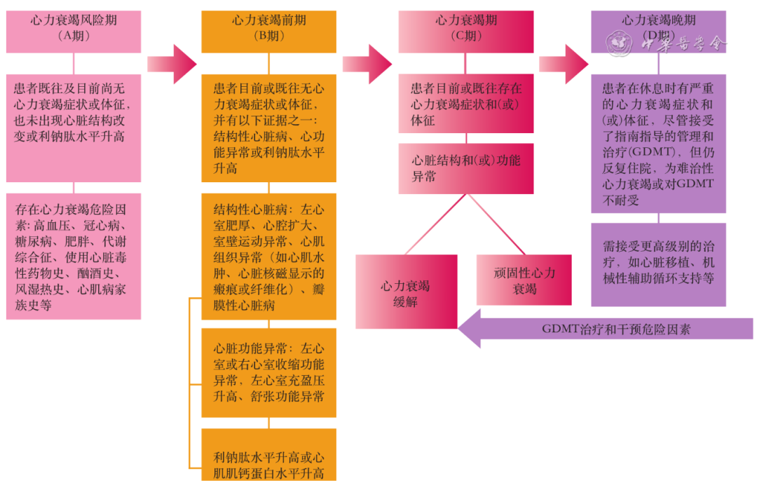 B型利钠肽 | 心力衰竭首选生物标志物！