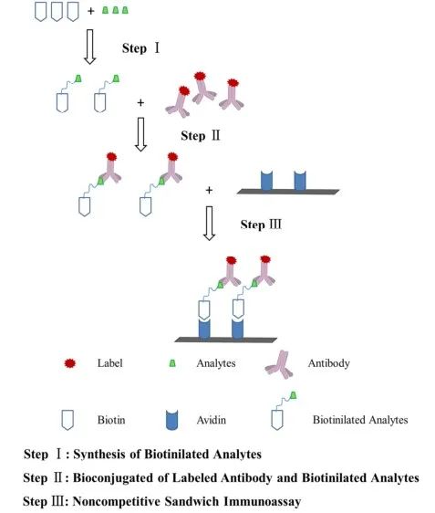 小分子化合物检测的高灵敏度免疫分析-新型非竞争性免疫分析设计 小分子化合物检测的高灵敏度免疫分析-新型非竞争性免疫分析设计