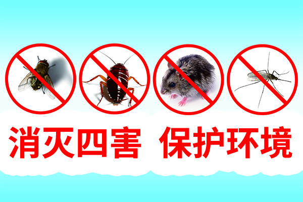 为什么说冬季是除四害最好的时节？