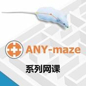 Y迷宫与水迷宫的设置-ANY-maze动物行为跟踪分析软件使用课程
