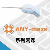 新物体识别与三箱社交设置---ANY-maze动物行为跟踪分析软件使用课程