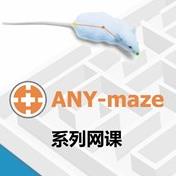 旷场设置-ANY-maze动物行为跟踪分析软件使用课程