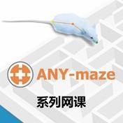 高架十字迷宫与高架零迷宫设置---ANY-maze动物行为跟踪分析软件使用课程