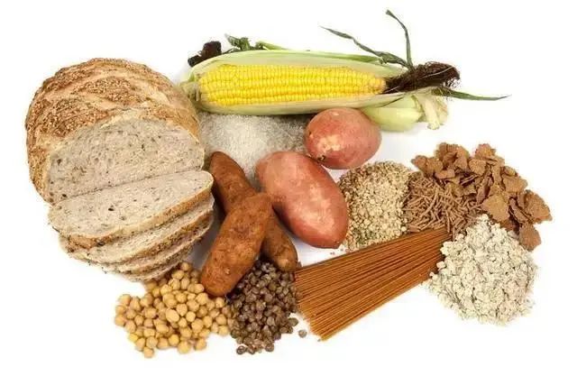 营养课堂|康复期肿瘤患者饮食应如何吃? 营养课堂|康复期肿瘤患者饮食应如何吃?
