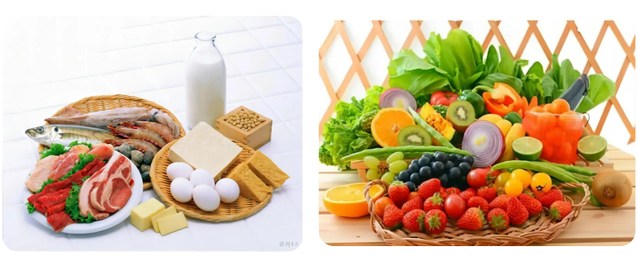 营养课堂|恢复期肿瘤患者的应如何合理饮食和运动 营养课堂|恢复期肿瘤患者的应如何合理饮食和运动