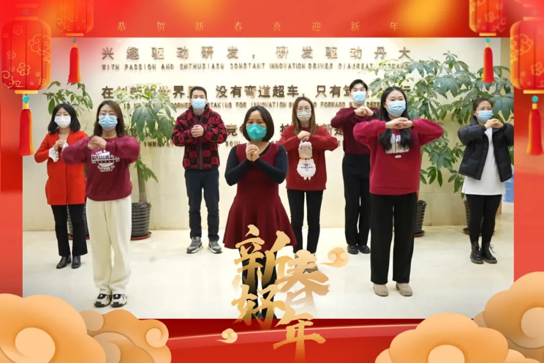 丹凤呈祥凤献瑞，大展宏图喜迎春！