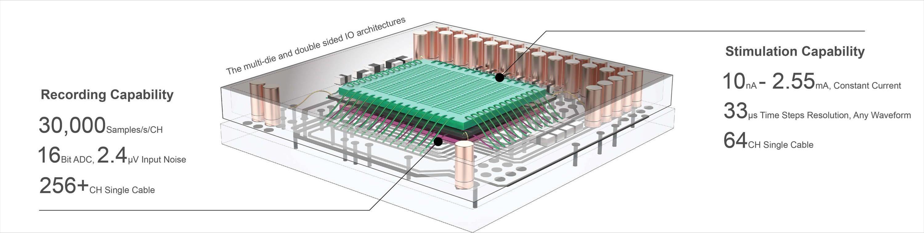 【多通道电生理】新一代微型前置放大器—X-Headstage™,体积减少70%,模块化,可植入! 【多通道电生理】新一代微型前置放大器—X-Headstage™,体积减少70%,模块化,可植入!