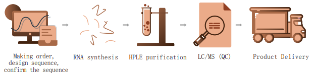 RNA Intelligent And Synthesis Platform RNA Intelligent And Synthesis Platform
