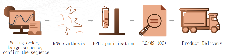 RNA Intelligent And Synthesis Platform RNA Intelligent And Synthesis Platform
