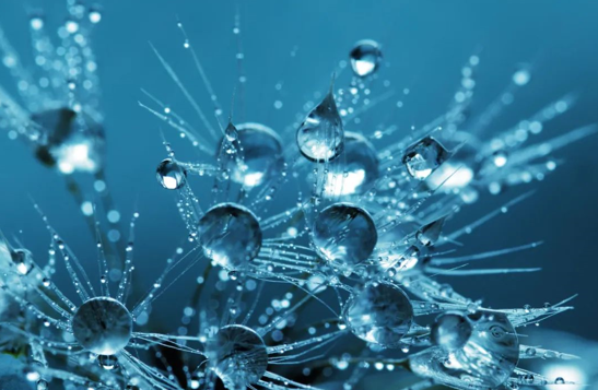 Seven core advantages of Diagreat gene synthesis service