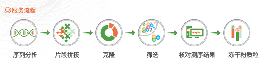 Seven core advantages of Diagreat gene synthesis service