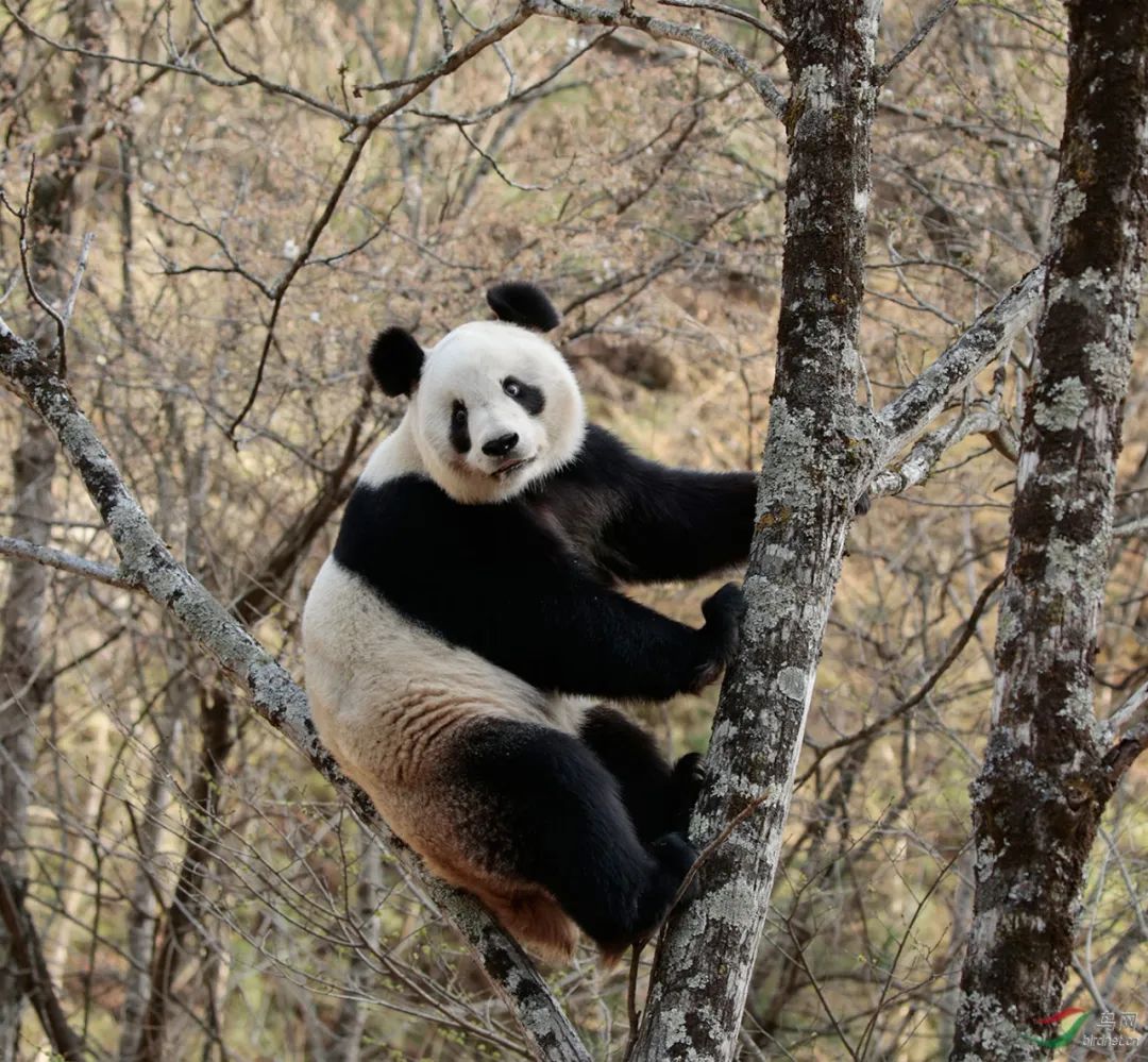 那时的北大,再也回不去了 那时的北大,再也回不去了