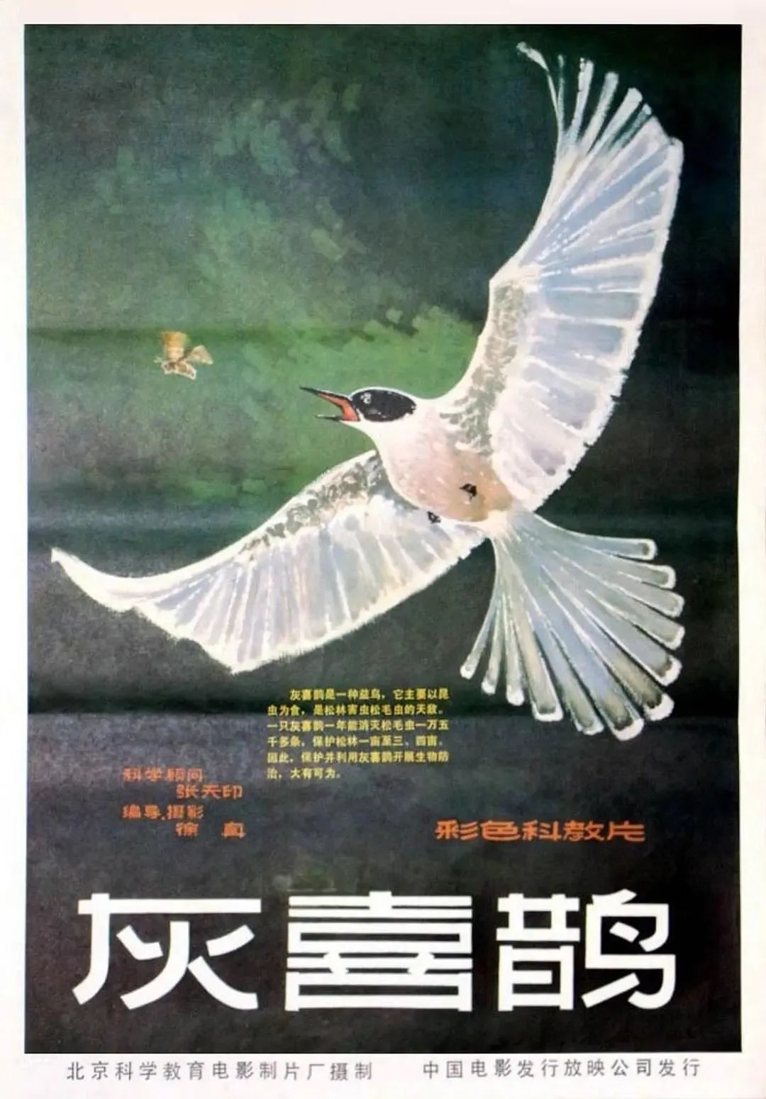 那时的北大,再也回不去了 那时的北大,再也回不去了