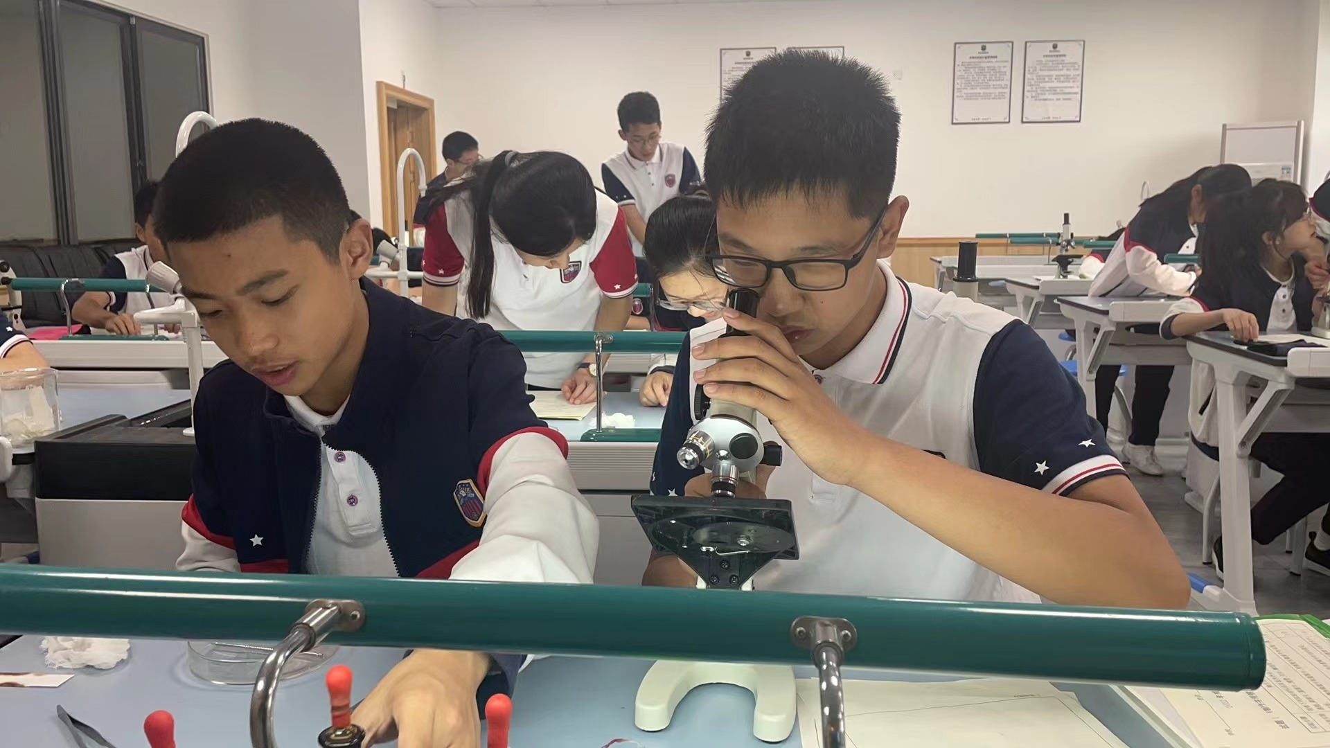 学部介绍 学部介绍