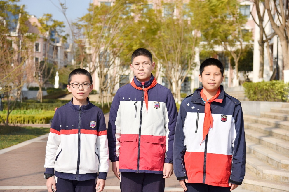 喜报来袭｜ 新川学子首战省级编程大赛，成绩斐然！