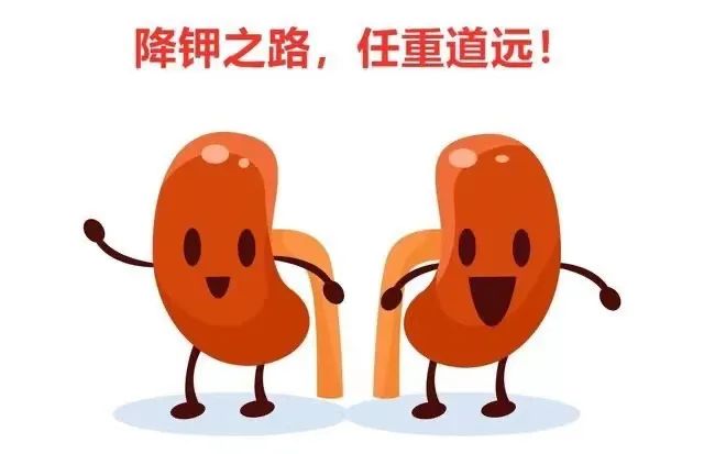 营养课堂|肾脏疾病的饮食禁忌 营养课堂|肾脏疾病的饮食禁忌