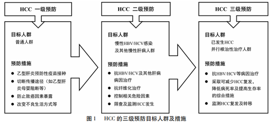 全国爱肝日|爱肝你我同行,构筑健康长城 全国爱肝日|爱肝你我同行,构筑健康长城