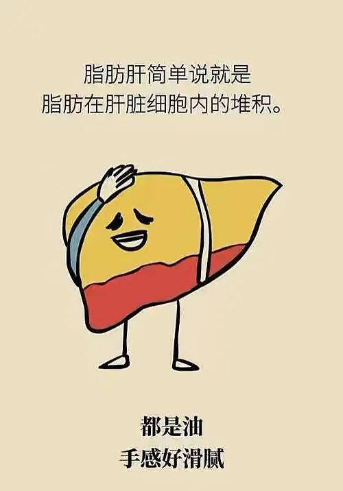 检查发现脂肪肝后,日常生活需要注意什么呢? 检查发现脂肪肝后,日常生活需要注意什么呢?