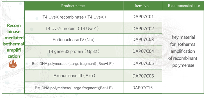 One-stop service for RPA raw materials | Ultra-high-purity RPA probes simplify the research and deve One-stop service for RPA raw materials | Ultra-high-purity RPA probes simplify the research and deve